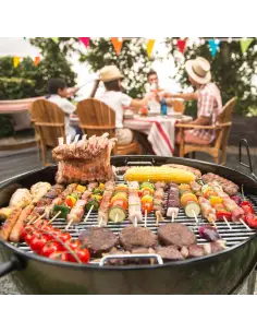KIT Antizanzare per barbecue e grigliata