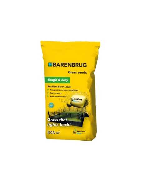 Barenbrug - sementi RESILIENT BLUE LAWN - 15 kg