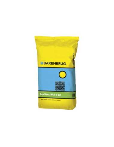 Barenbrug - sementi MEDITERRANEO RESILIENT BLUE SOD - 15 kg
