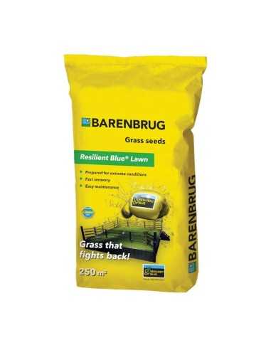 Barenbrug - sementi RESILIENT BLUE LAWN Coated - 5 kg