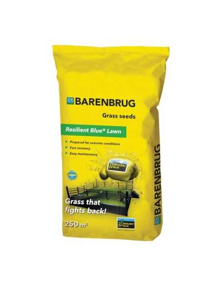 Barenbrug - sementi RESILIENT BLUE LAWN Coated - 5 kg