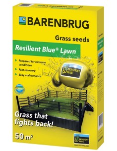 Barenbrug - sementi RESILIENT BLUE LAWN Coated 1k - 1 kg