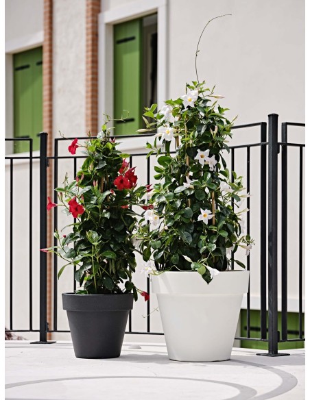 Vaso grande da esterno Standard One Ø 40-140 cm | Tera