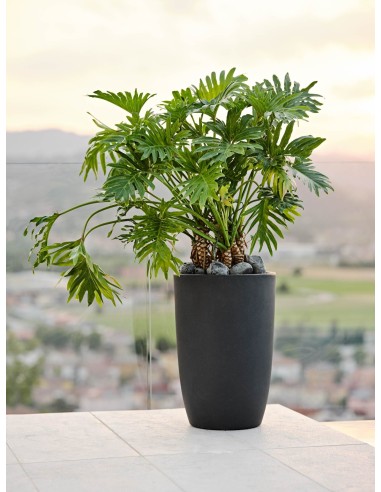 Vaso a colonna da esterno Meti Ø 30 x h 45 cm Antracite – ambientazione – Tera