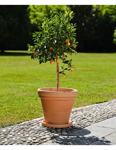 Vaso doppio bordo effetto terracotta Ø 38 x h 34,5 cm – 22 litri Terracotta – ambientazione – Tera