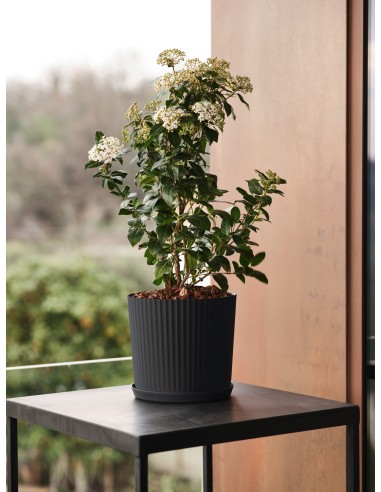 Vaso rigato da interno Nova Ø 35 x h 31,7 cm – 23 litri Antracite – ambientazione – Tera