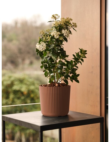 Vaso rigato da interno Nova Ø 35 x h 31,7 cm – 23 litri Terracotta – ambientazione – Tera