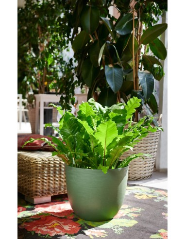 Vaso con riserva d'acqua Over Ø 38 x h 32 cm – 24 litri Verde Bosco – ambientazione – Tera