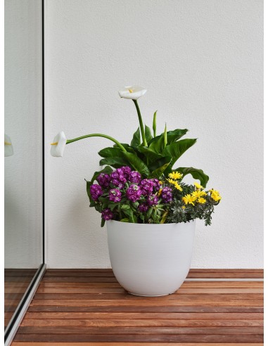 Vaso con riserva d'acqua Over Ø 38-58 cm | Tera