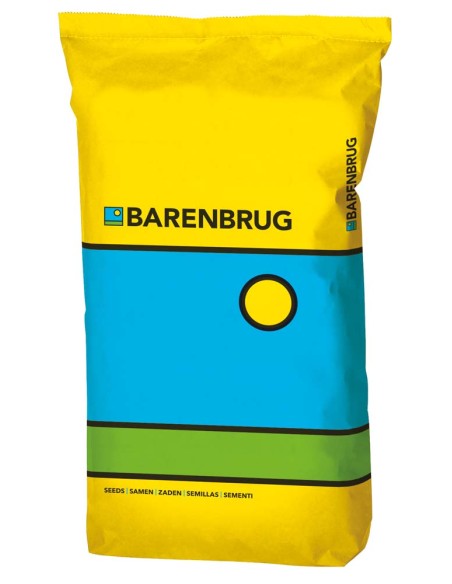 Semi Barclaren SOD in purezza 20 kg | Barenbrug