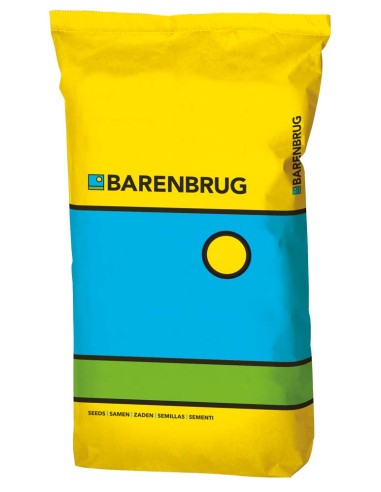 Semi Poa pratensis Barimpala SOD – Barenbrug