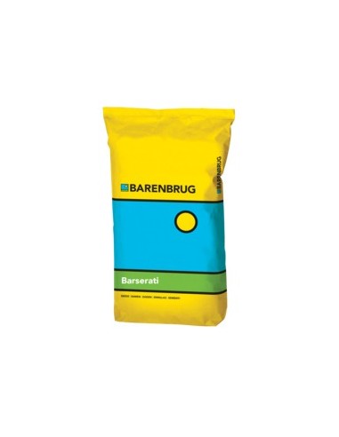 Semi Poa pratensis Barserati SOD – Barenbrug