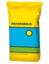 Festuca arundinacea Firecracker LS 15 kg | Barenbrug