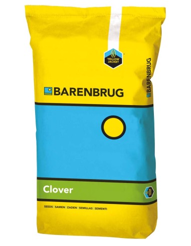 Semi trifoglio nanissimo Lawn Clover | Barenbrug