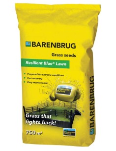 Semi prato calpestabile Resilient Blue Lawn Barenbrug