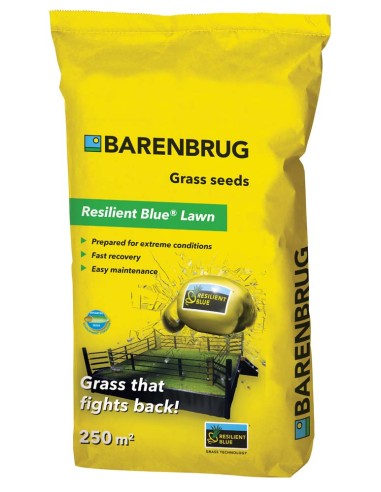 Semi prato calpestabile Resilient Blue Lawn 5 kg – fino a 250 m² – Barenbrug