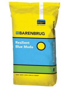 Trasemina Bermuda con Poa pratensis: Resilient Blue Muda