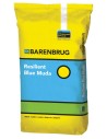 Trasemina Bermuda con Poa pratensis: Resilient Blue Muda