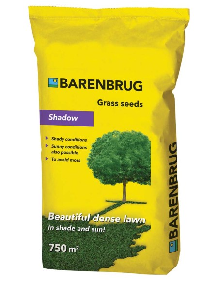 Semi prato ombra Shadow Barenbrug – anche sotto alberi