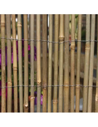Arella in bamboo a canna grossa, lunga 3 m | Verdemax