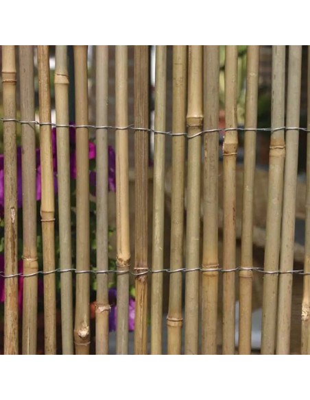 Arella in bamboo a canna grossa, lunga 3 m | Verdemax