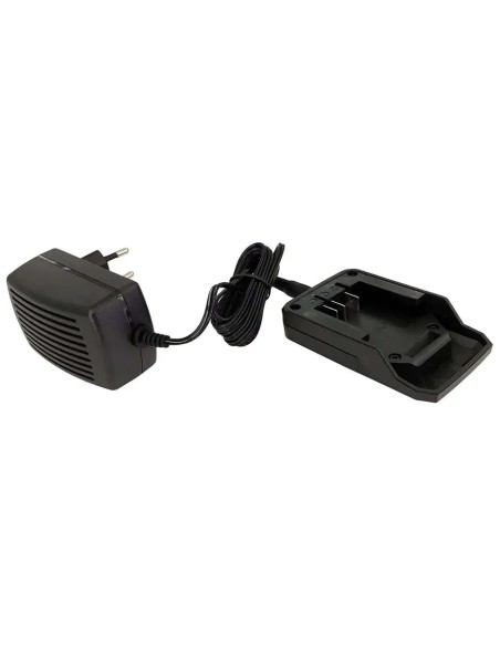 Mini motosega a batteria per potatura PE20 | Verdemax