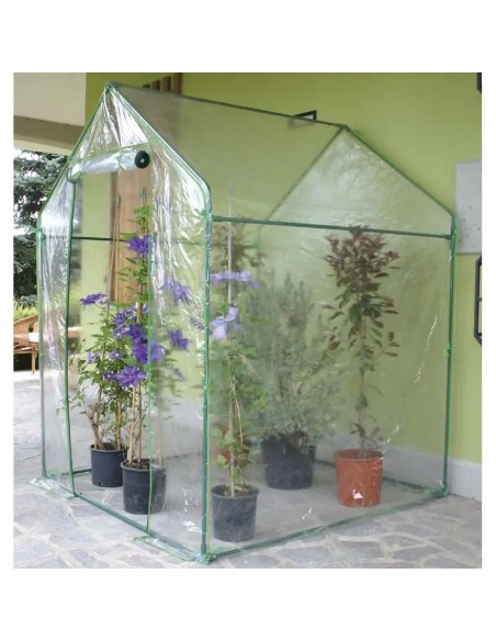Serra a casetta trasparente Clematis 155x155 | Verdemax