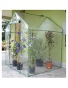 Serra a casetta trasparente Clematis 155x155 | Verdemax