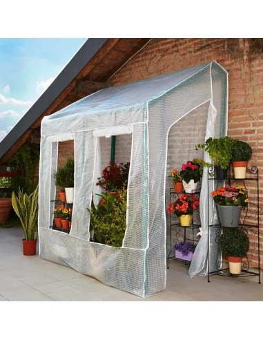 Serra a parete grande Lobelia 200x110 cm | Verdemax