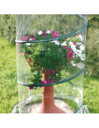 Serra pop up per piante Anthurium ø 70 cm – Verdemax
