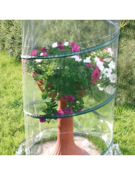 Serra pop up per piante Anthurium ø 70 cm | Verdemax