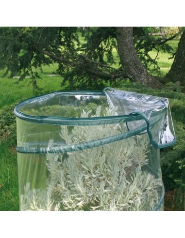 Serra pop-up Anthurium ø70 – ambientazione – Verdemax