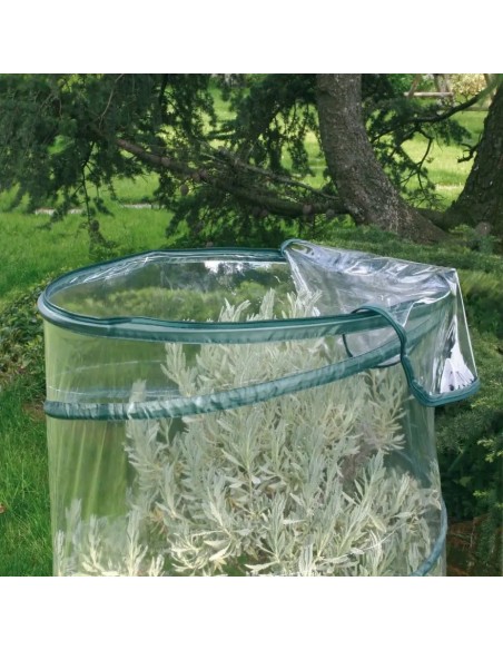 Serra pop up per piante Anthurium ø 70 cm | Verdemax