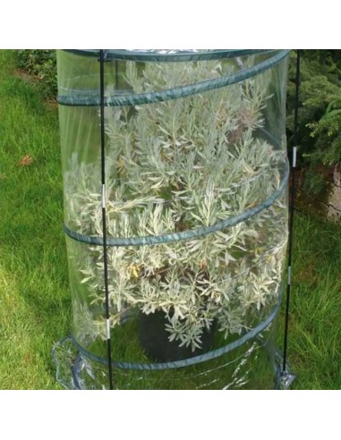 Copertura invernale per agrumi pop-up Citrus ø 90 cm – Verdemax