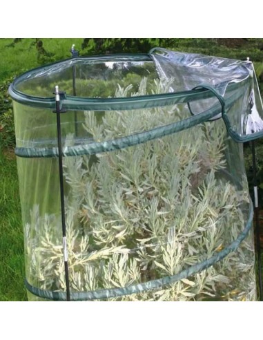 Copertura invernale per agrumi pop-up Citrus | Verdemax