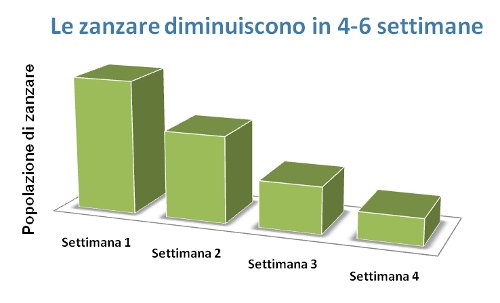 zanzare diminuiscono