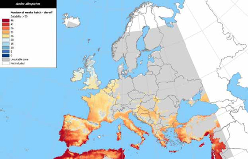 Attività zanzare tigre Europa