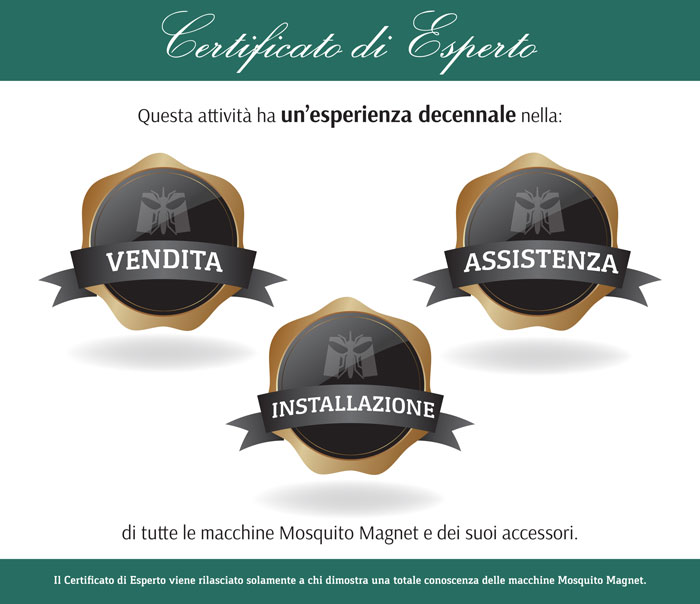 certificato eccellenza down