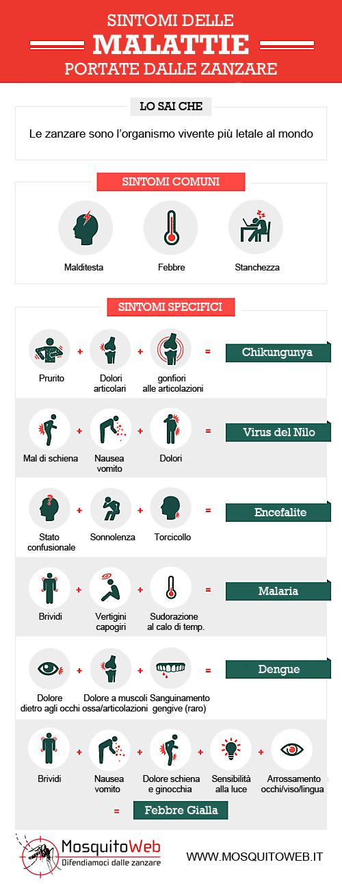 sintomi malattie zanzare