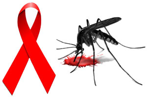 Le zanzare trasmettono l'AIDS?