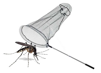 Cattura zanzare