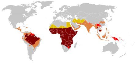 La zanzare è l'animale più letale al mondo