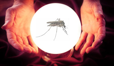 Previsione zanzare 2014