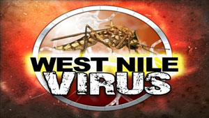 Virus del Nilo Occidentale