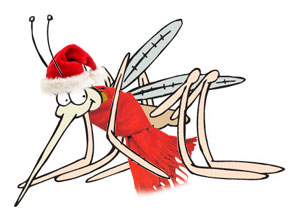 Zanzare che pungono in inverno