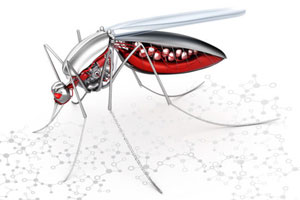 Zanzare OGM